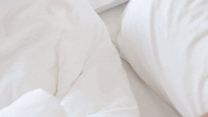 11.gif