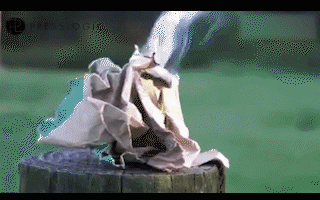 02.gif