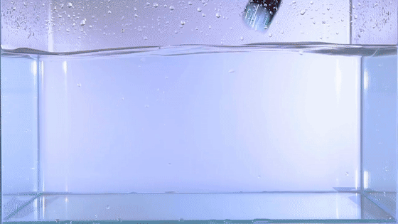 06.gif