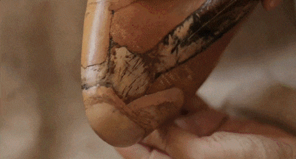 1556523371880033.gif
