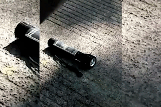 11_20190805180552.gif